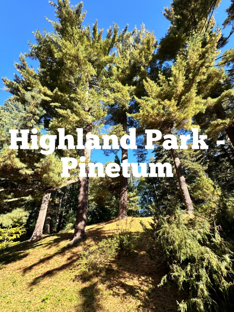 A link to a page about Highland Park Pinetum.