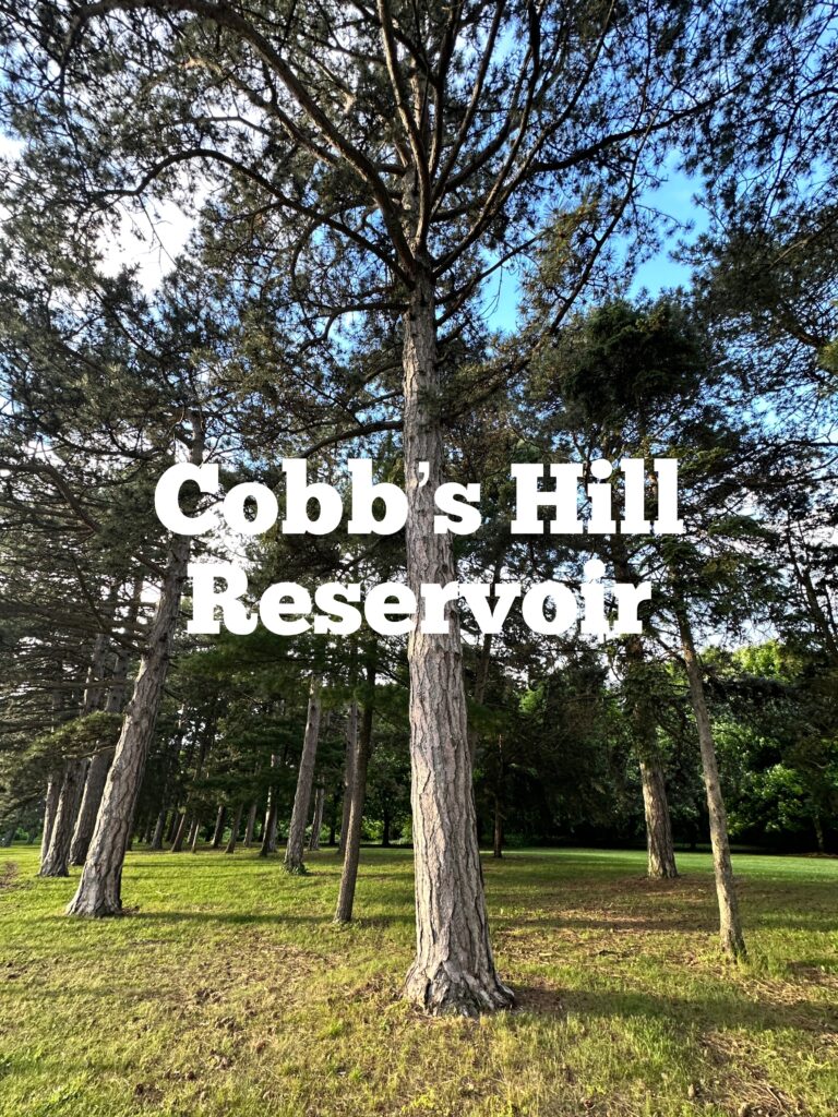 A link to a page about Cobb's Hill Reservoir.