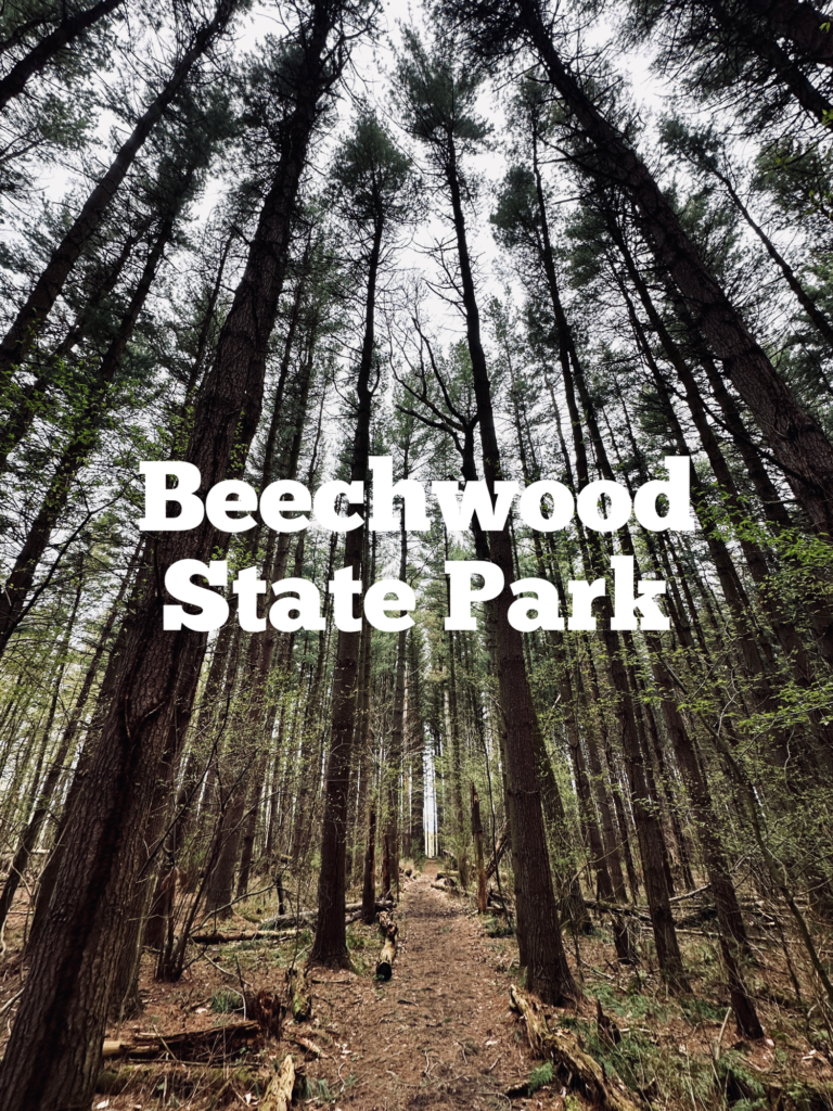 A link to a page about Beechwood State Park.