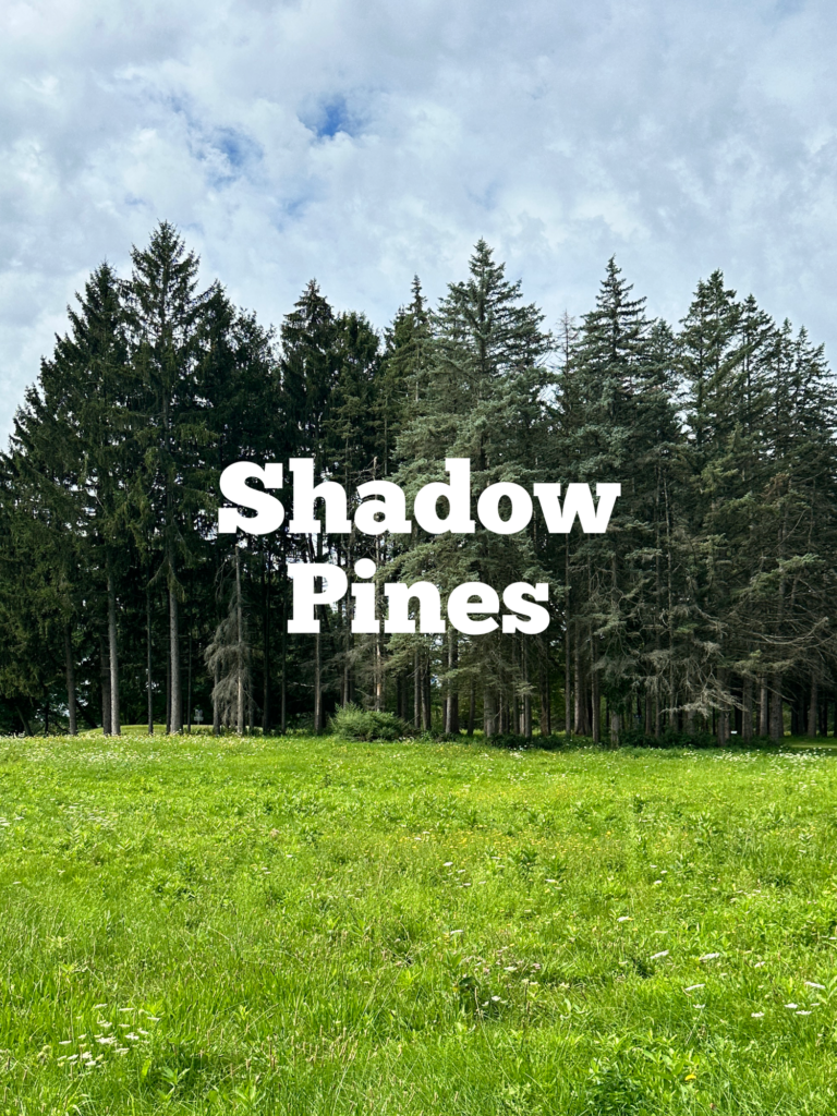 A link to a page about Shadow Pines.