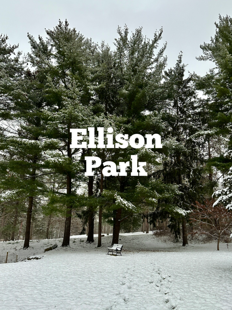 A link to a page about Ellison Park.