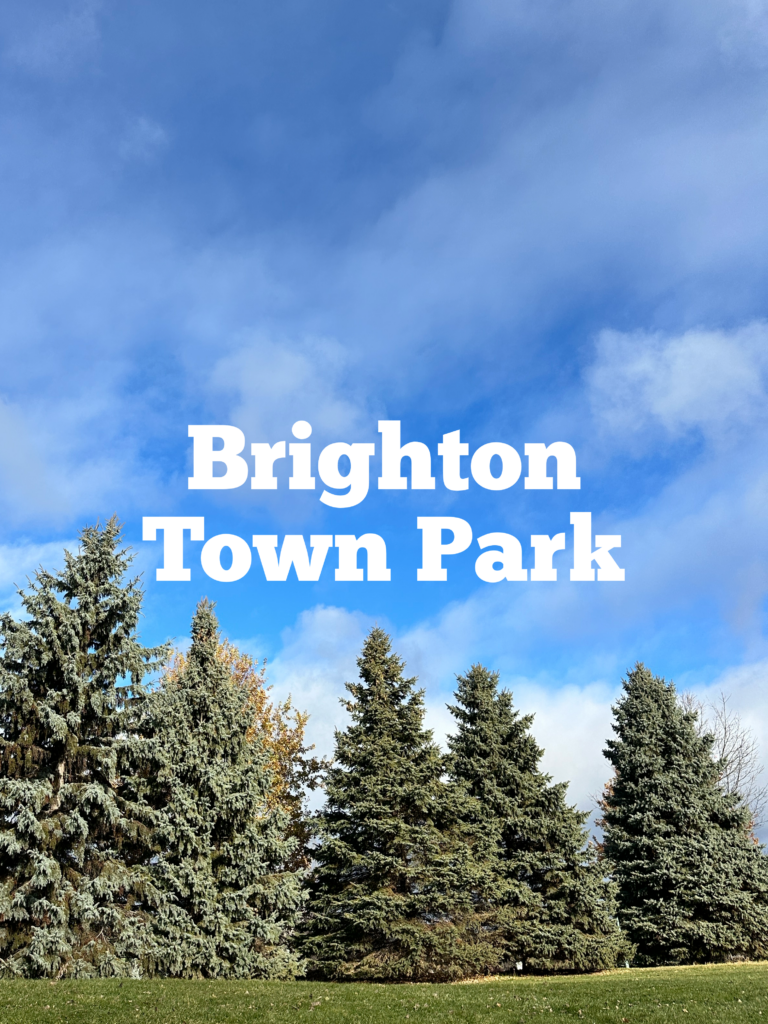 A link to a page about Brighton Town Park.