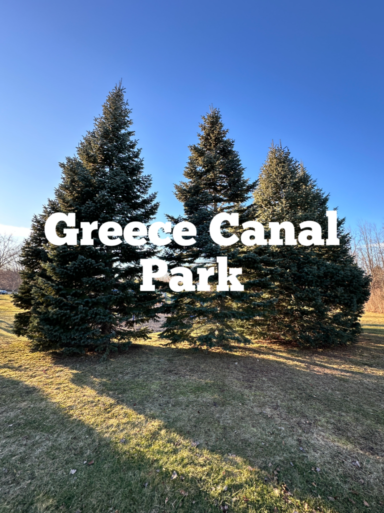 A link to a page about Greece Canal Park.