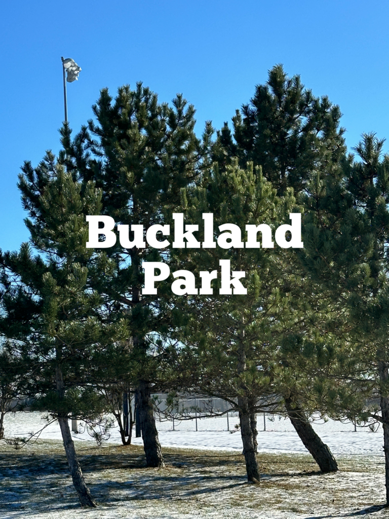 A link to a page about Buckland Park.