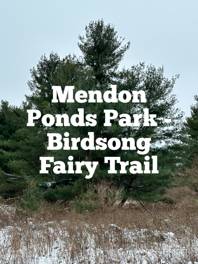 A link to a page about Mendon Ponds Park Birdsong Fairy Trail.